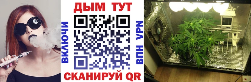 Купить закладку Кокаин Мефедрон ГАШИШ СК Марихуана Россошь