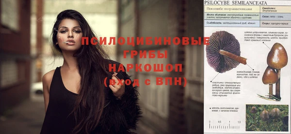 амф Алексеевка